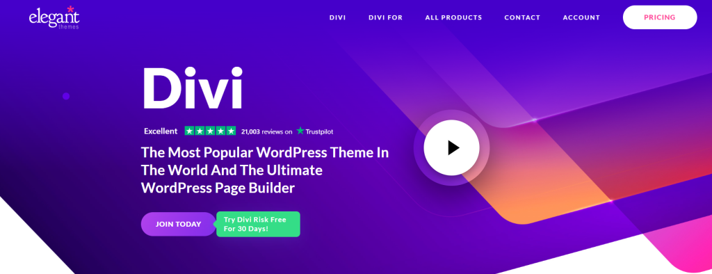 Divi Review